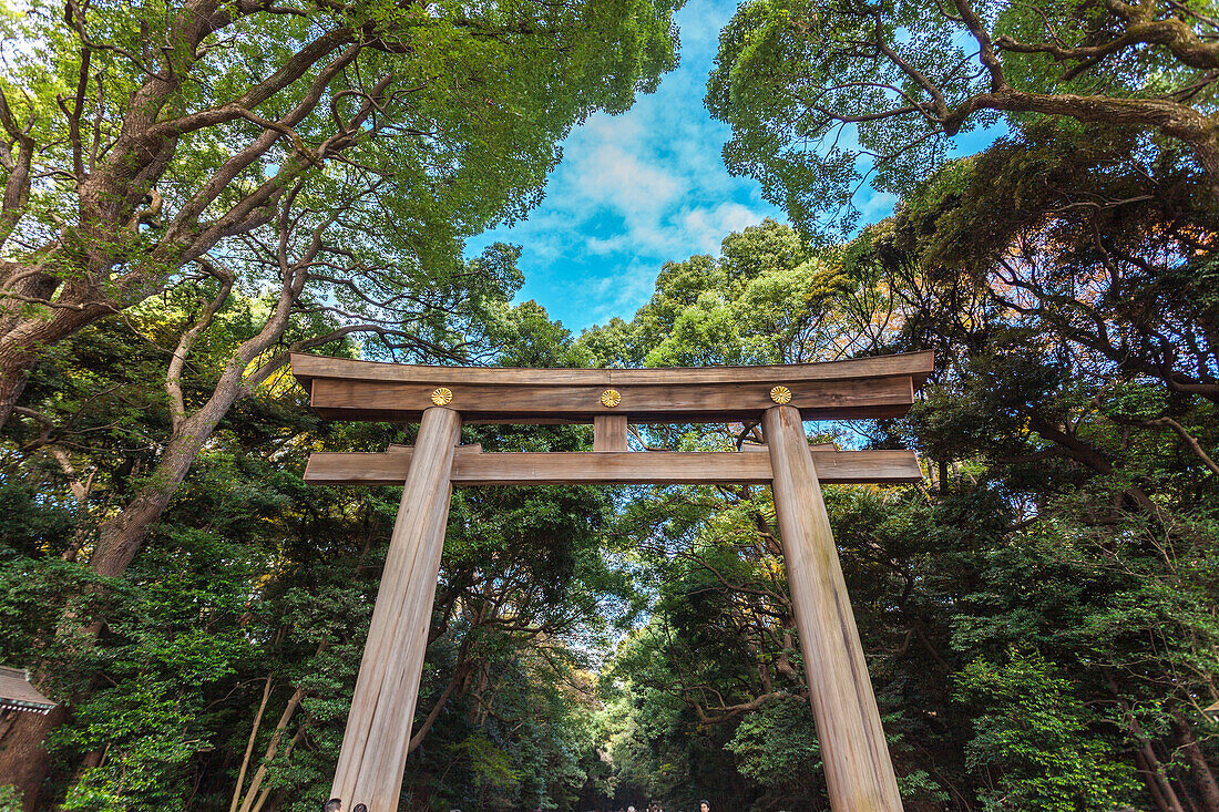Ichi-no-Torii des Meiji Schrein, Shibuya, Tokio, Japan
