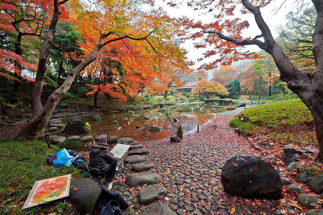 Painter in Koishikawa Korakuen drawing garden in autumn colors, Bunkyo-ku, Tokyo, Japan