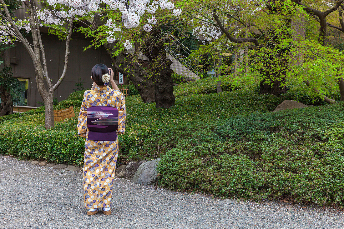 Junge japanische Frau im Kimono fotografiert Kirschblüte im Happo-en, Minato-ku, Tokio, Japan