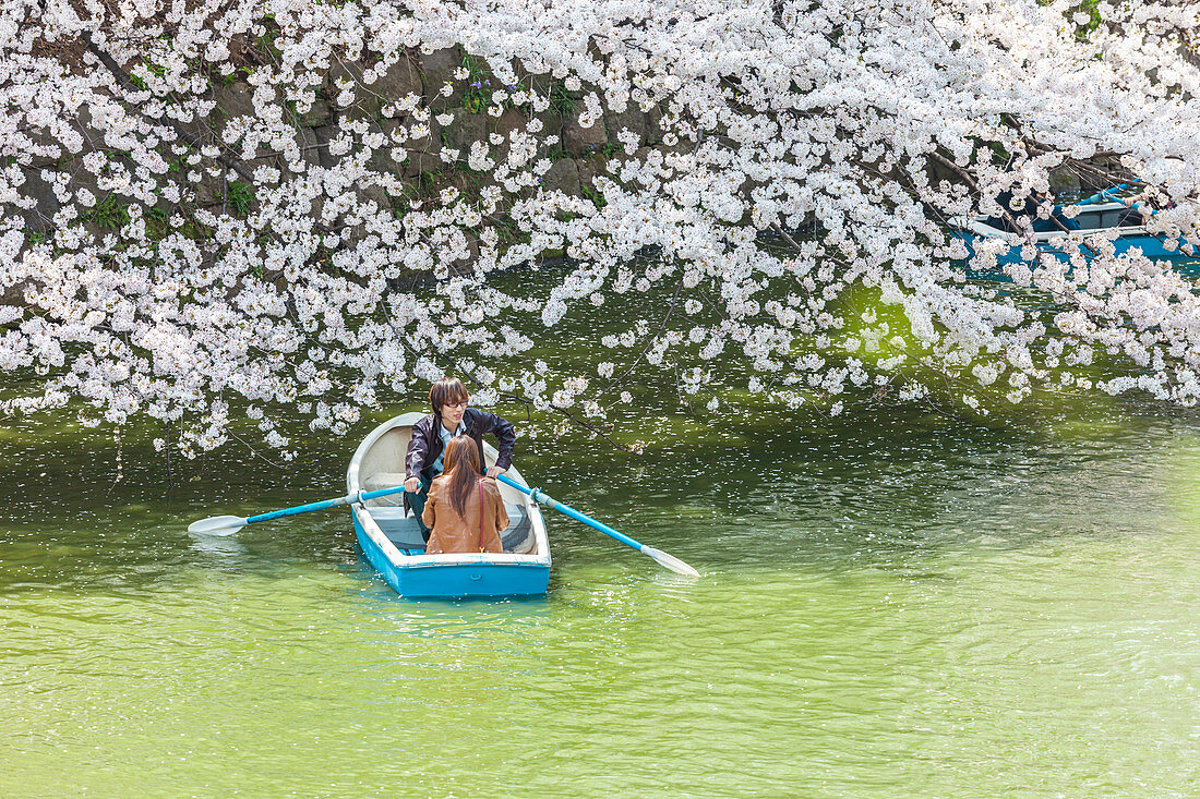 Junge Pärchen mit Boot am Chidori-ga-fuchi erfreuen sich an Kirschblüte im Frühling, Chiyoda-ku, Tokio, Japan