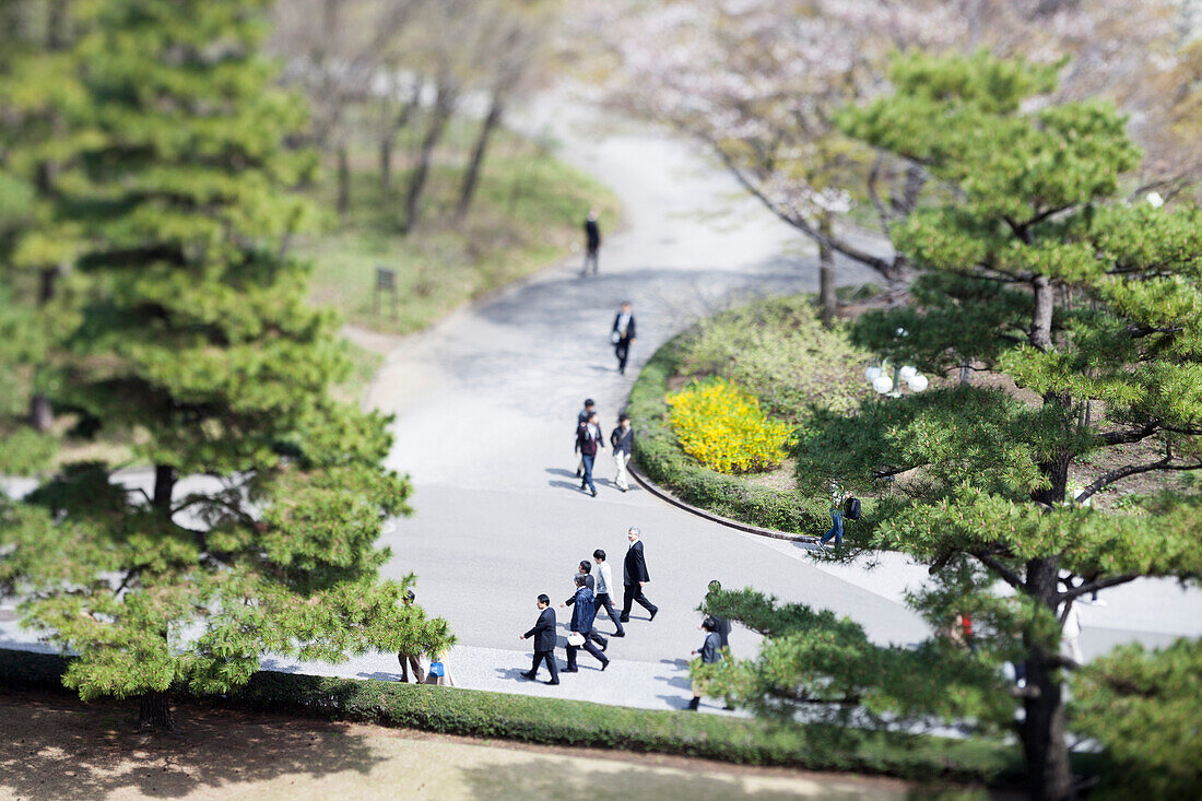 View from secret viewpoint in Honmaru Garden of Imperial Palace, Chiyoda-ku, Tokyo, Japan