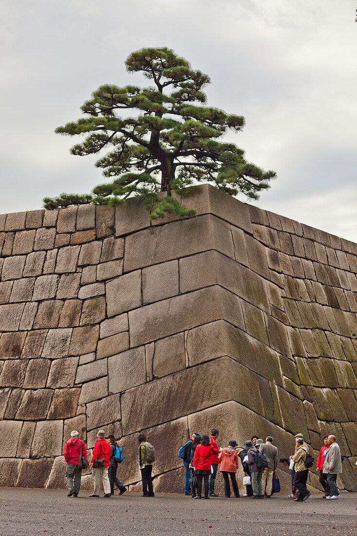 Japanese Tourists at the remains of the Castle of Edo, Imperial Palace, Chiyoda-ku, Tokyo, Japan