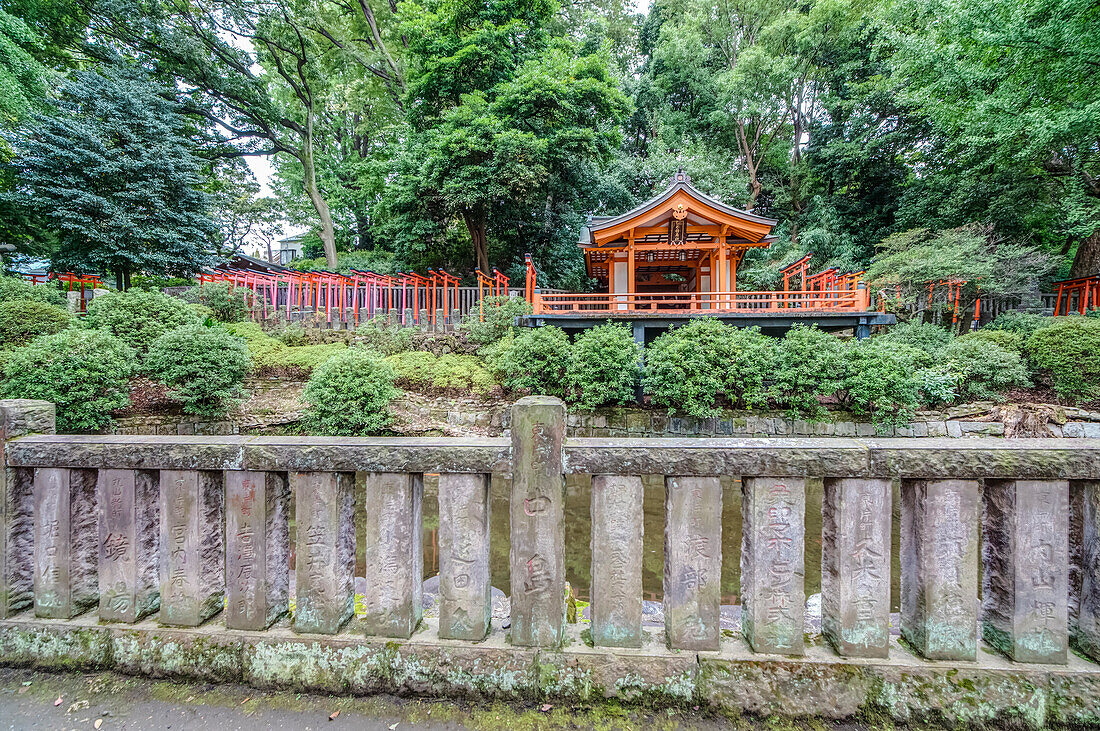 Path with many red Torii at Nezu-Shrine, Yanaka, Taito-ku, Tokyo, Japan
