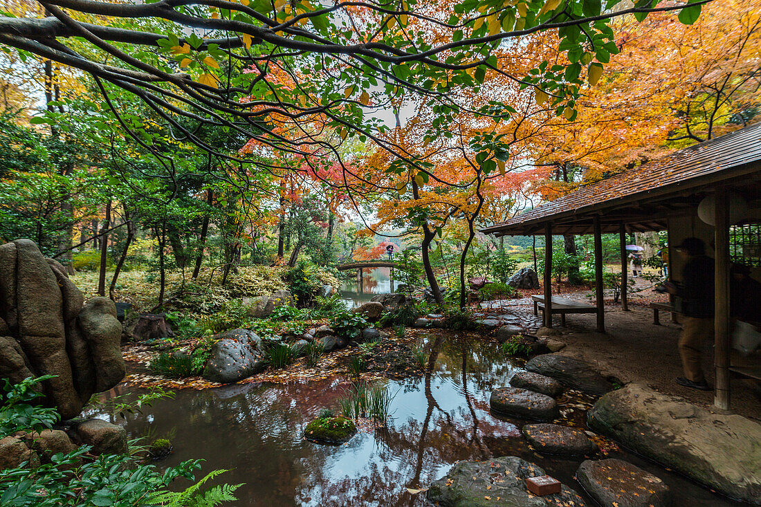 Hütte im Rikugien Garten im Herbst, Taito-ku, Tokio, Japan