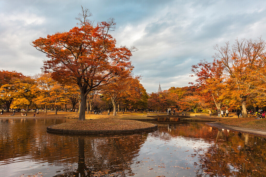 Am Teich des Yoyogi Park im Herbst, Shibuya, Tokio, Japan