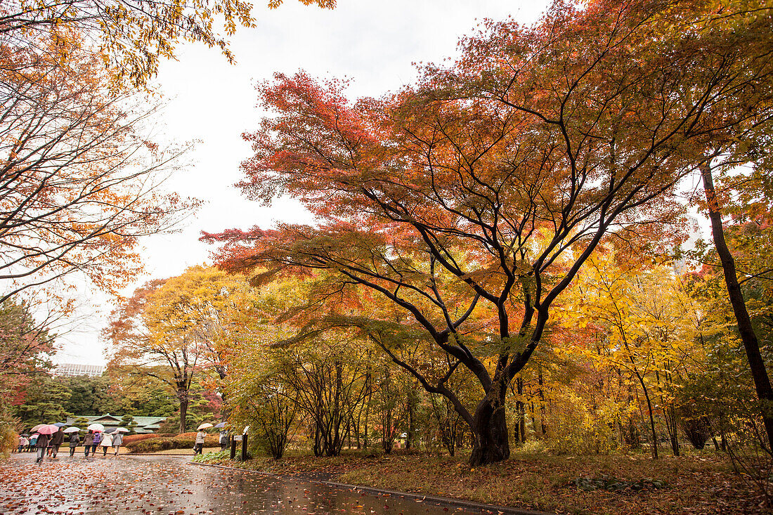 Eingang zum Ni-No-Maru Garten des Kaiserpalast im Herbst, Chiyoda-ku, Tokio, Japan