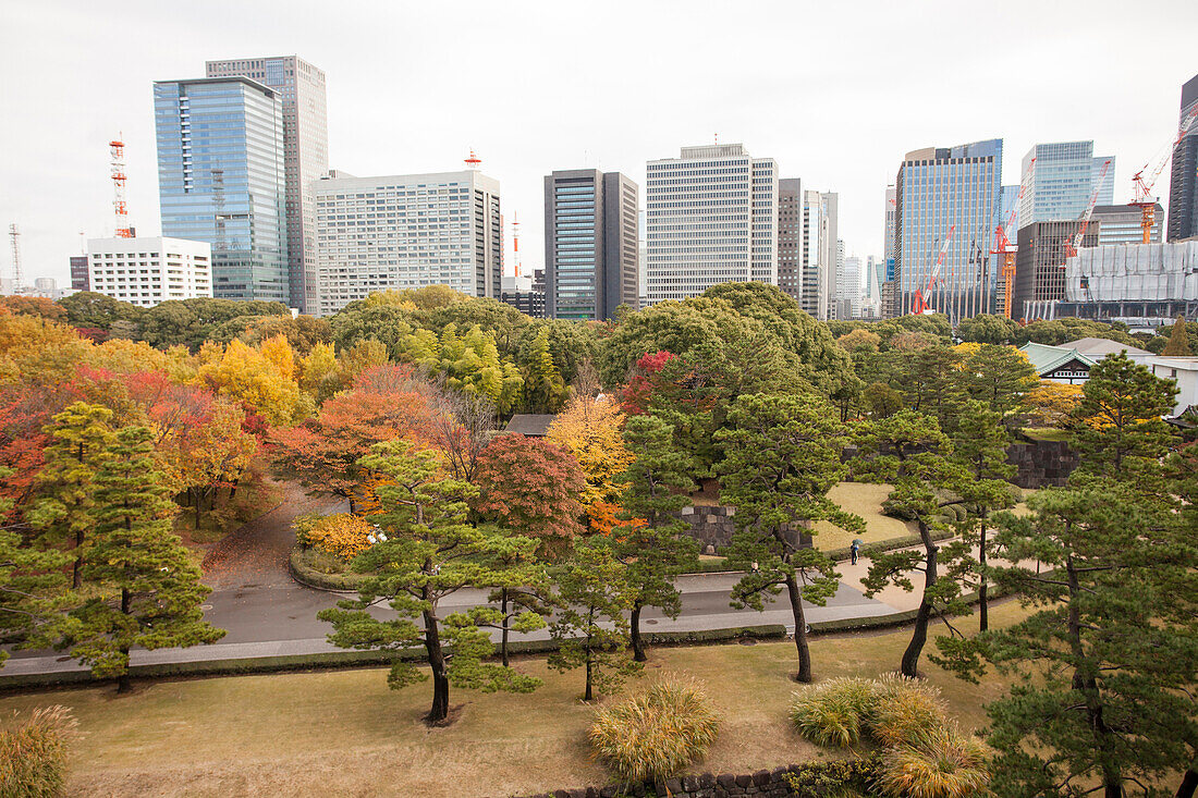 Blick vom geheimen Aussichtspunkt im Honmaru Garten des Kaiserpalast, Chiyoda-ku, Tokio, Japan