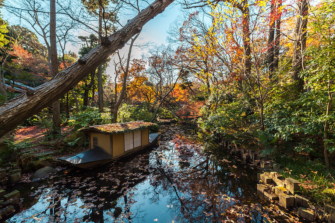 Kleiner Teich mit Boot im Garten des Nezu Museum im Herbst, Minato-ku, Tokio, Japan