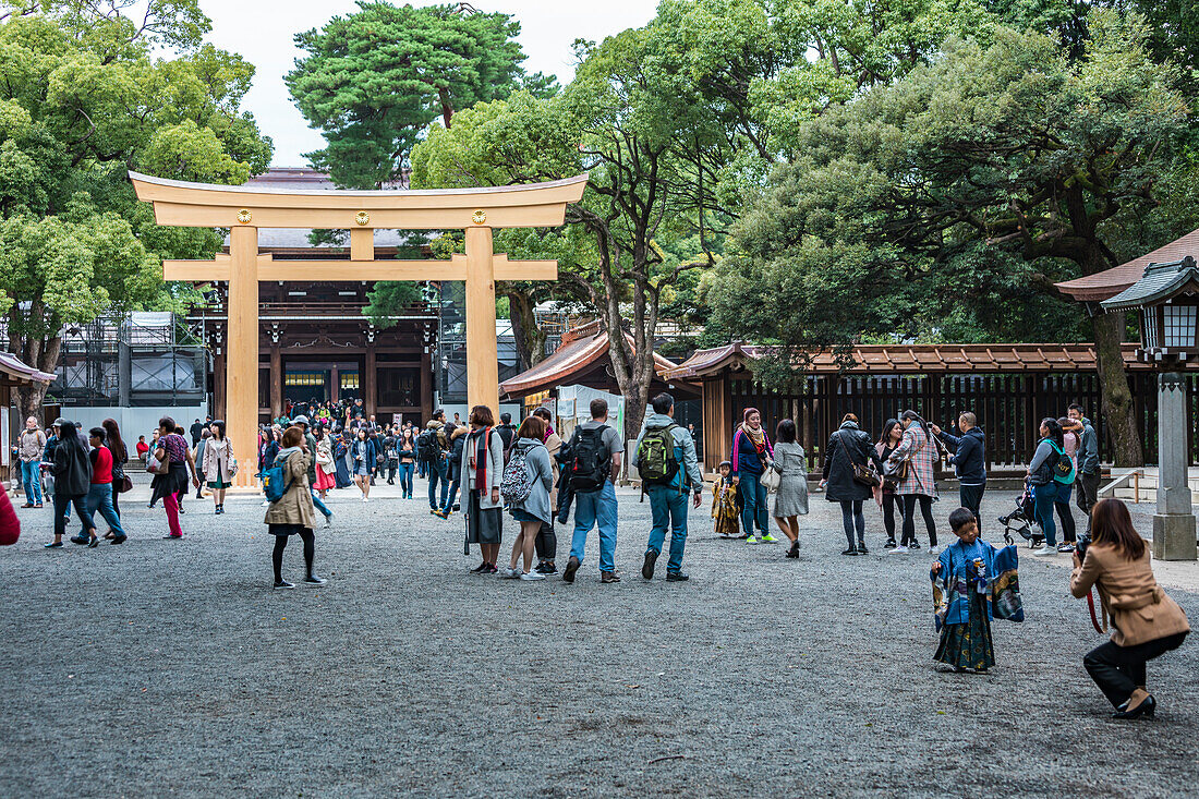 People in front of brand new Inner Torii of Meiji Shrine, Shibuya, Tokyo, Japan