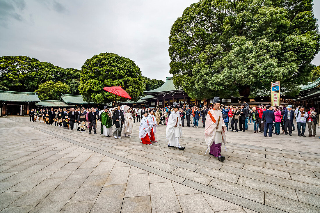 Wedding ceremony at Meiji Shrine, Shibuya, Tokyo, Japan