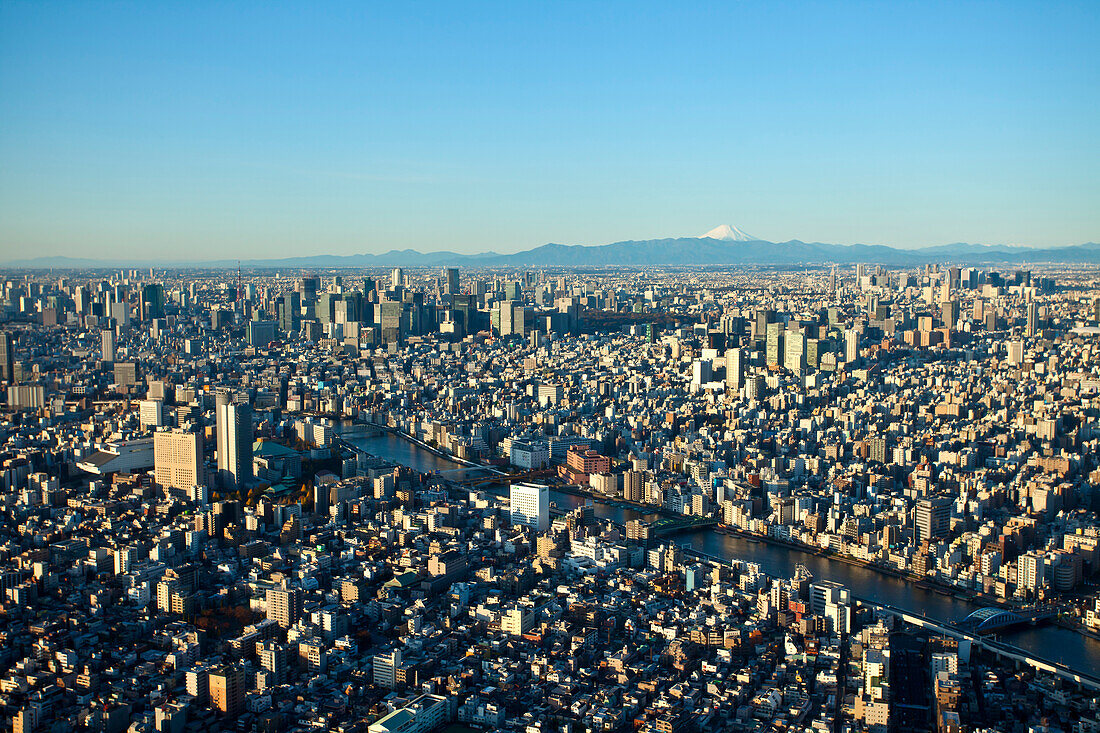 Tokio mit Sumida Fluss und Berg Fuji gesehen vom Tokyo Skytree, Sumida-ku, Tokio, Japan