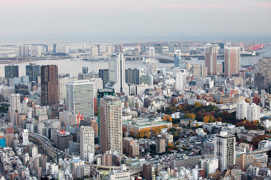 Odaiba, Bucht und Rainbow Bridge von oben gesehen im Herbst, Minato-ku, Tokio, Japan