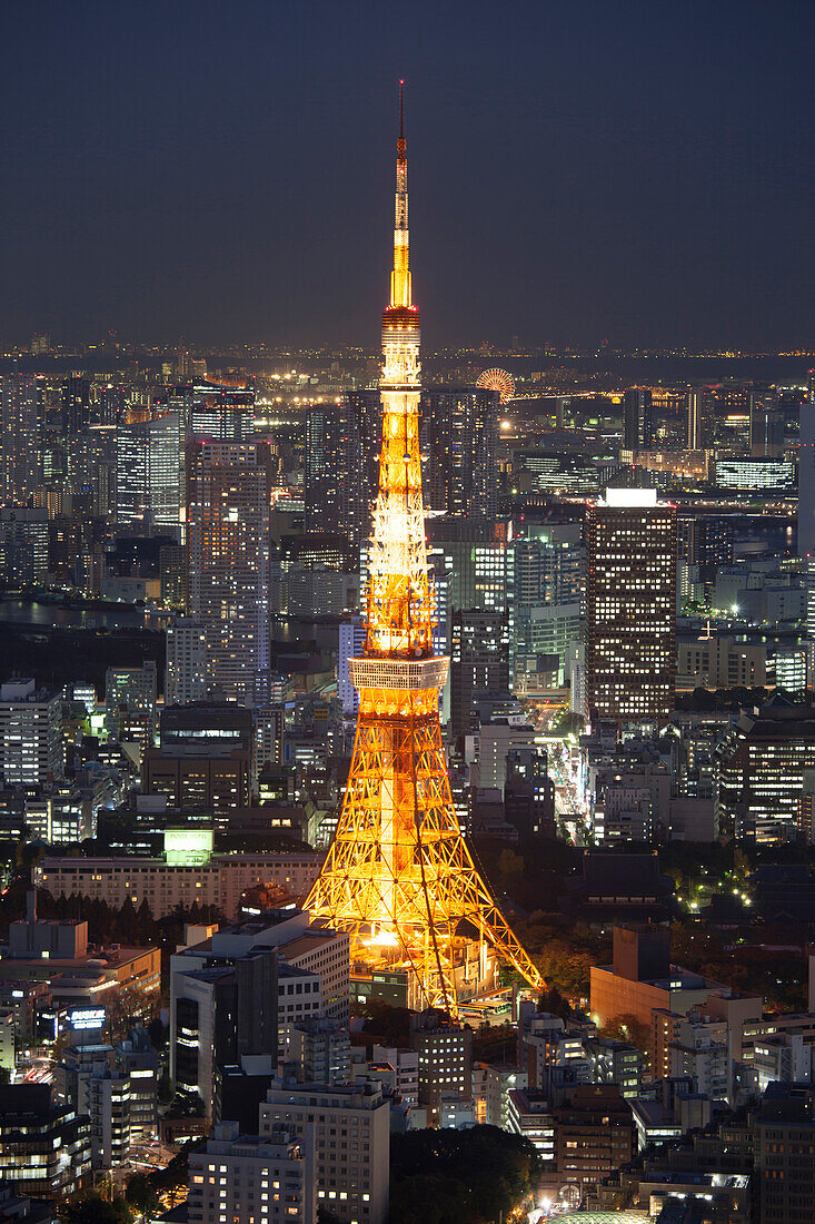 Tokyo Tower von oben gesehen zur blauen Stunde, Minato-ku, Tokio, Japan