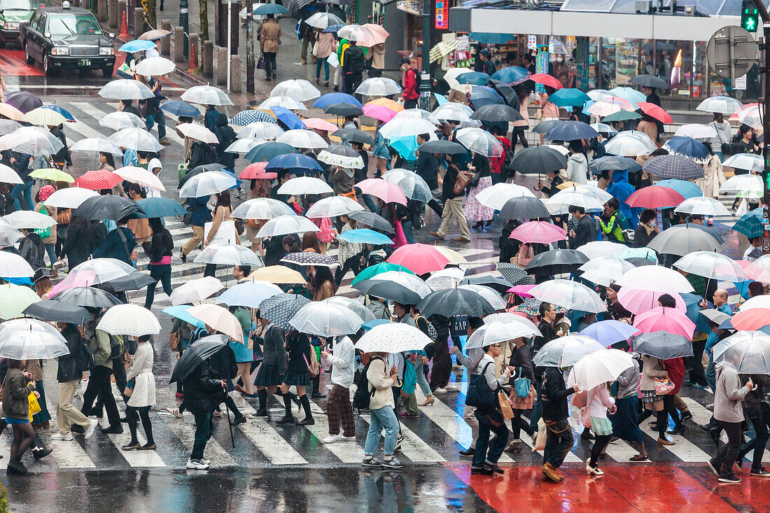 Berühmter Fußgängerüberweg im Shibuya mit vielen Regenschirmen, Tokio, Japan