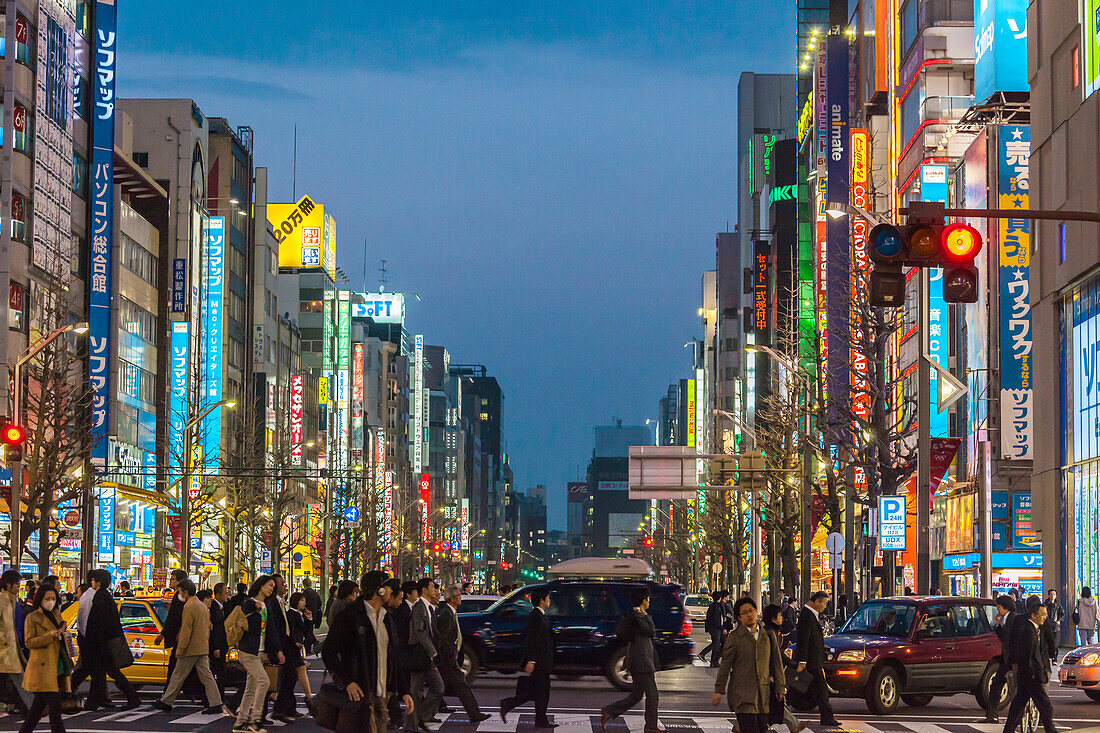 Illuminated signboards and pedestrians crossing Chuo-Dori in Akihabara at night, Chiyoda-ku, Tokyo, Japan