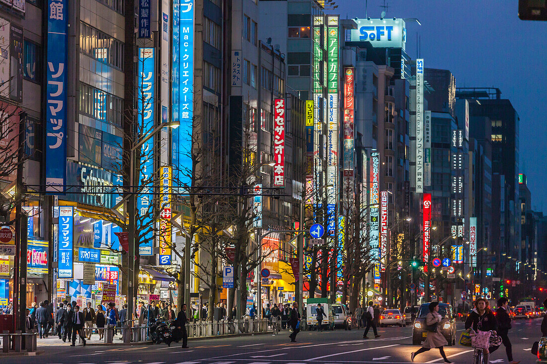 Shops with illuminated signboards along Chuo-Dori in Akihabara at night, Chiyoda-ku, Tokyo, Japan