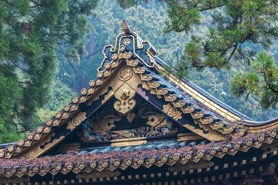 Großaufnahme des mit Gold verzierten Dach im Toshogu-Schrein, Nikko, Tochigi Präfektur, Japan