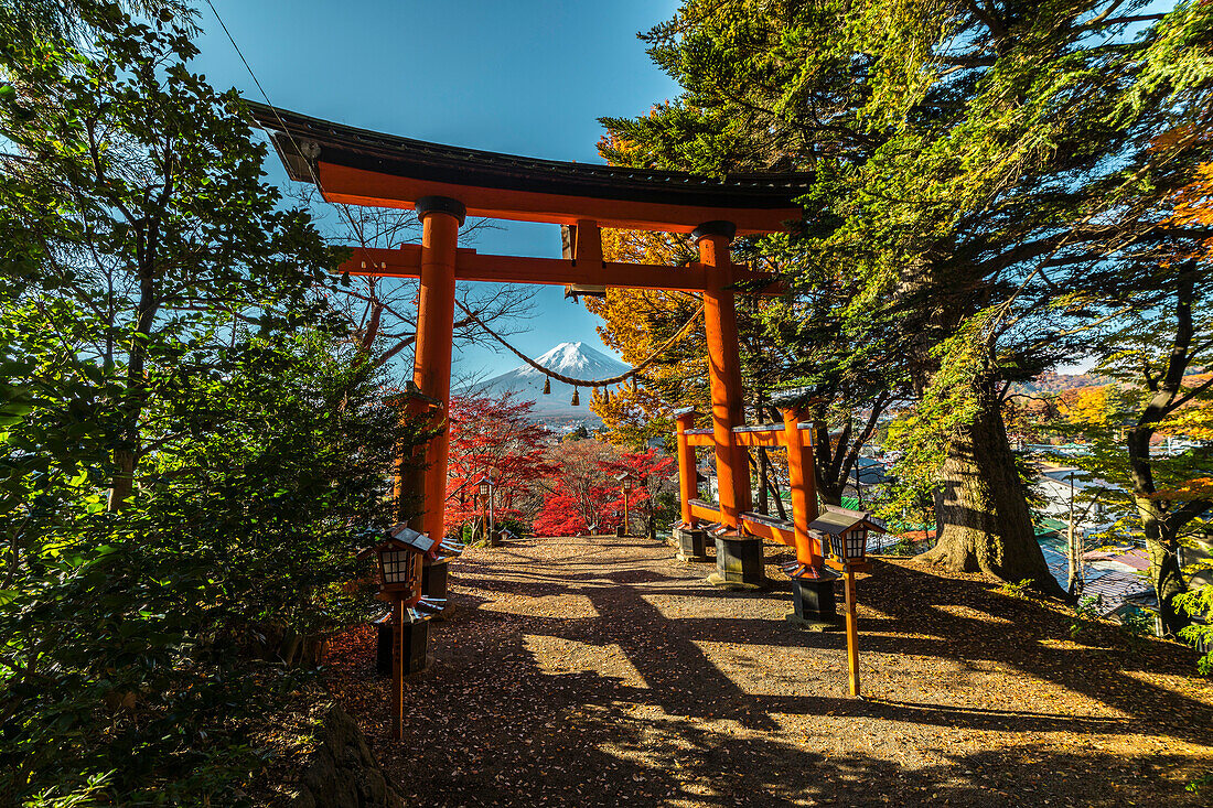 Torii mit Berg Fuji am Arakurayama Sengen Park, Fujiyoshida, Yamanashi Präfektur, Japan