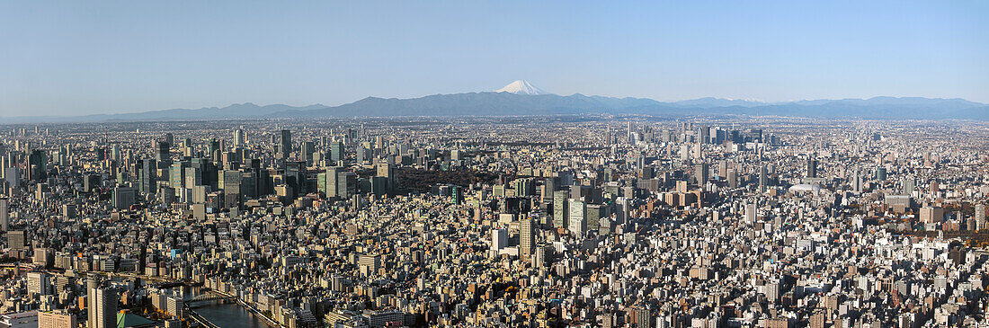 Weitwinkel Skyline vom Stadtzentrum Tokio mit Berg Fuji am frühen Morgen, Sumida-ku, Tokio, Japan