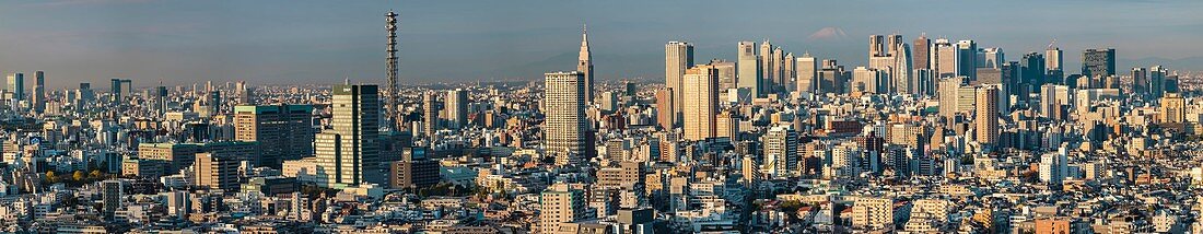 Shinjuku Skyline mit Berg Fuji und Wolken am frühen Morgen, Tokio, Japan