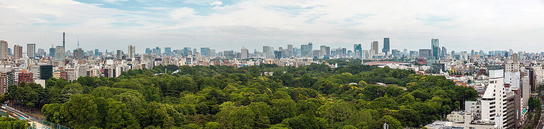 Tokyo Skyline with green Shinjuku Gyoen, Shinjuku, Tokyo, Japan