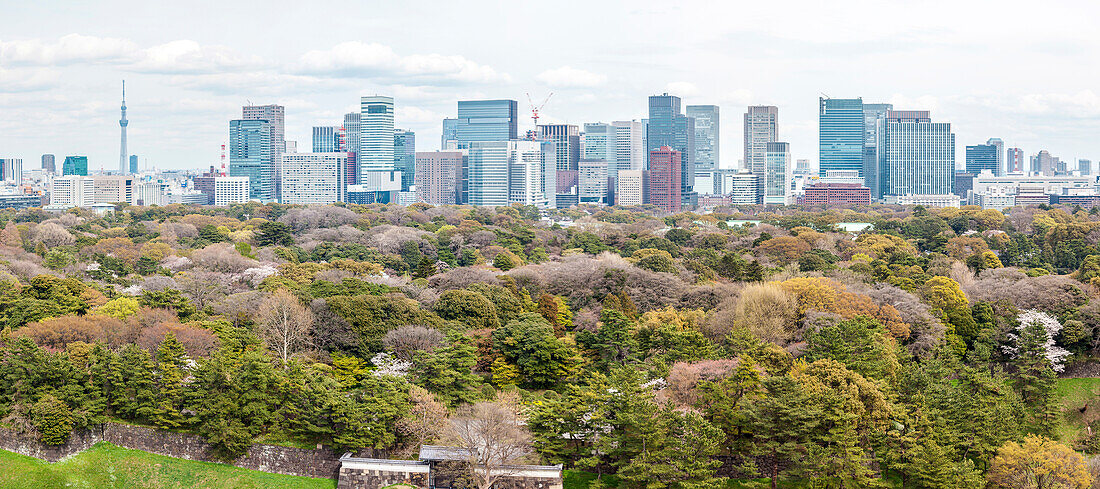 Marunouchi with Imperial Palace in Spring, Chiyoda-ku, Tokyo, Japan