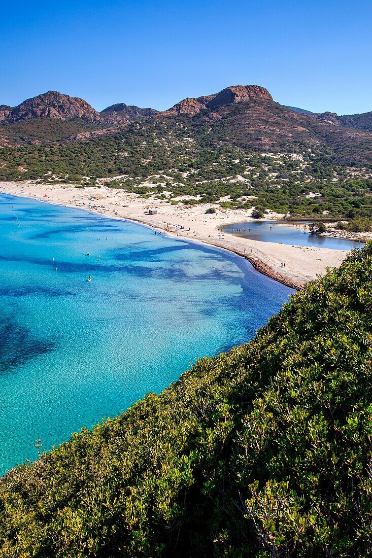 Corse, France, the clean water from the Ostriconi beach, Balagne.