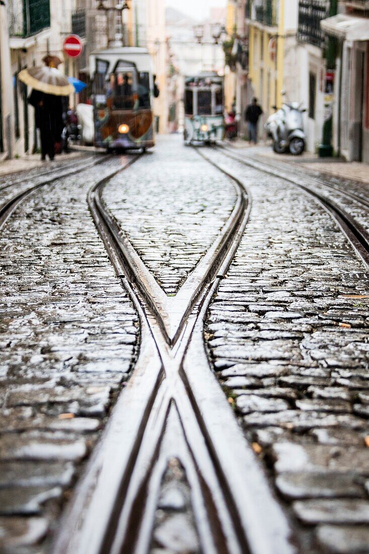 The steel rails on a rainy day with the typical trams leading to Bairro Alto district Lisbon Portugal Europe.