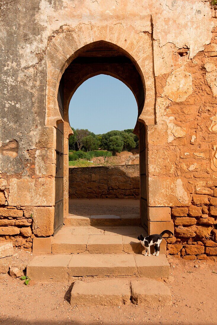 North Africa,Morocco,Capital Rabat. Archaeological site Chellah.