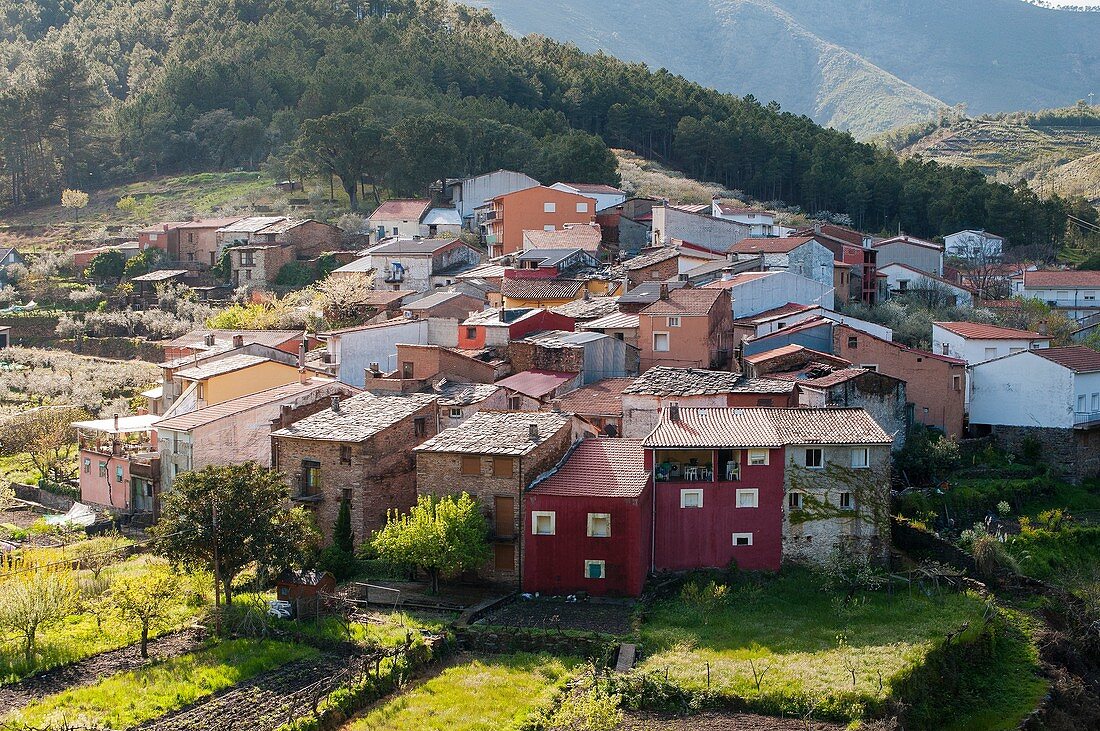 Spain, Extremadura, Caceres province, Pinofranqueado, Las Hurdes, Castillo village, Little village in Esparaban Valley