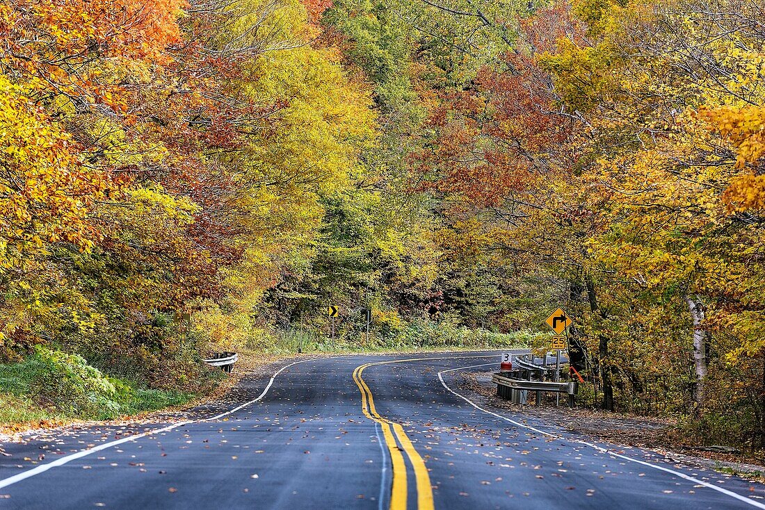 Autumn scenic byway, Vermont, USA.