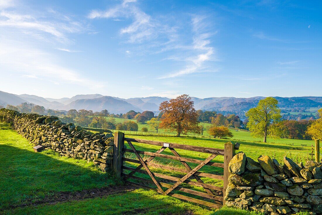 Farmland in the Ullswater valley near Howtown in the Lake District National Park. Cumbria. England.