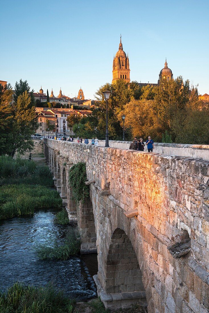 Salamanca Cathedral seen from across the River Tormes and the Puente Romano, Salamanca, Spain.