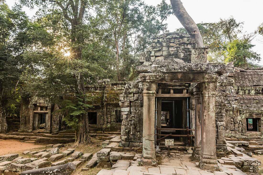 Ta Prohm Temple, being destroyed by jungle growth, Angkor, Siem Reap Province, Cambodia, Khmer.