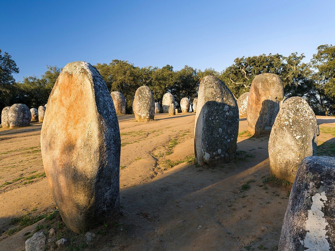 Almendres Cromlech (Cromeleque dos Almendres), an oval stone circle dating back to the late neolithic or early Copper Age. Europe, Southern Europe, Portugal, March.