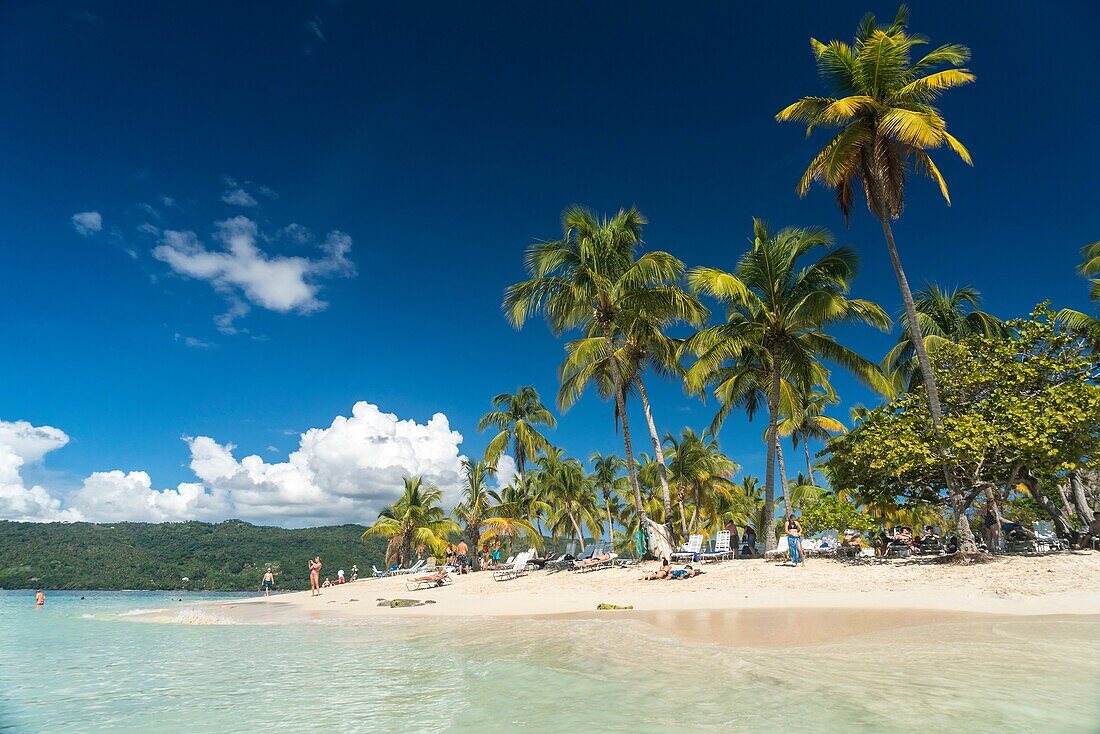 Palm fringed sandy beach of Cayo Levantado, Samana, Dominican Republic, Carribean, America,..