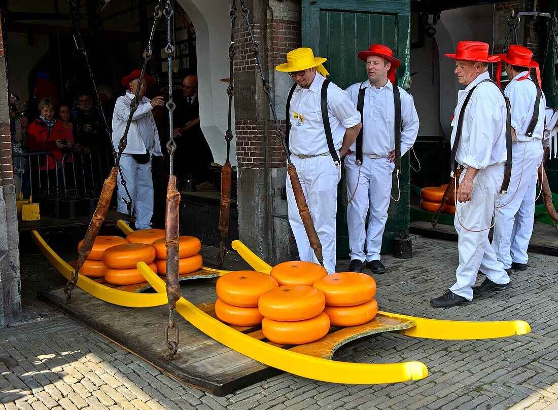 Guild cheese porters at the cheese balance, cheese market of Alkmaar, Netherlands.