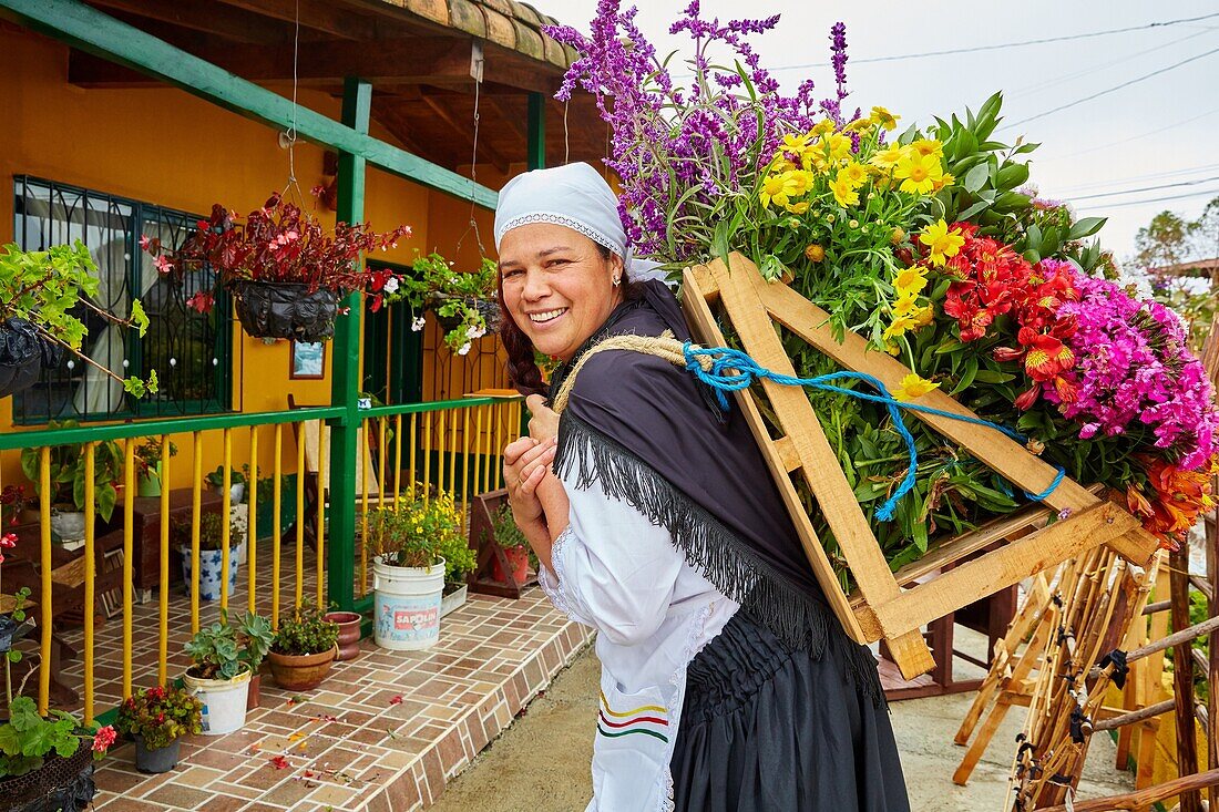 Stuhlblüten, Silleteros, Familia Londoño, Santa Elena, Medellin, Antioquia, Kolumbien, Südamerika