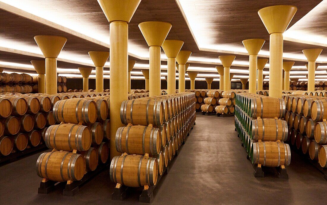 Wine cellar, Dinastia Vivanco winery, Briones, La Rioja, Spain, Europe