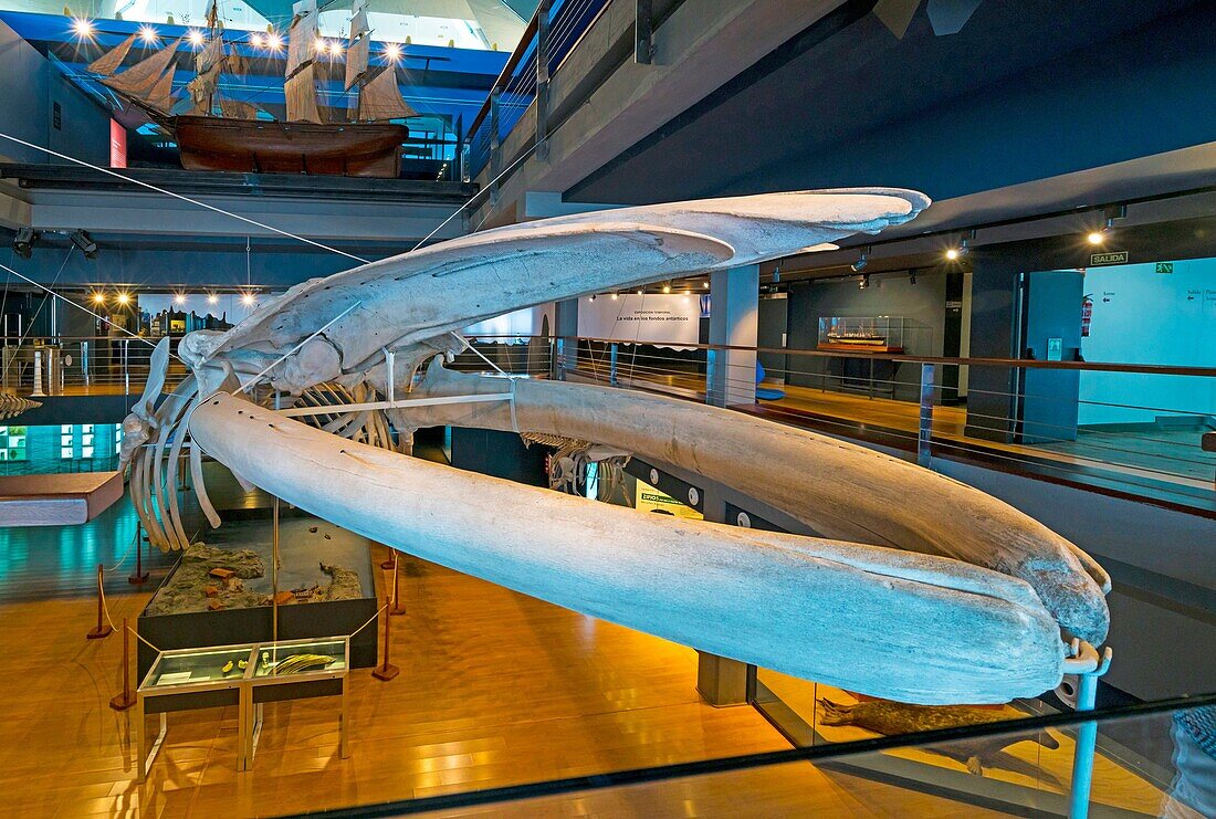 Maritime Museum, Santander Bay, Santander, Cantabria, Spain, Europe.