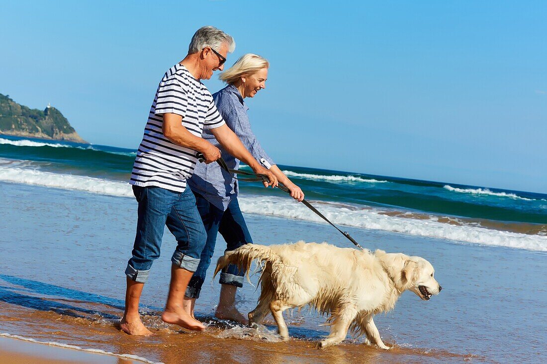 Älteres Ehepaar, 60-70, Spaziergang mit Hund am Strand, Hintergrund Getaria, Zarautz, Gipuzkoa, Baskenland, Spanien, Europa