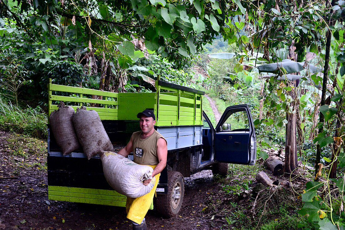 Kaffeeanbau Orosi al Natural, Orosi-Tal bei Cartago, Costa Rica