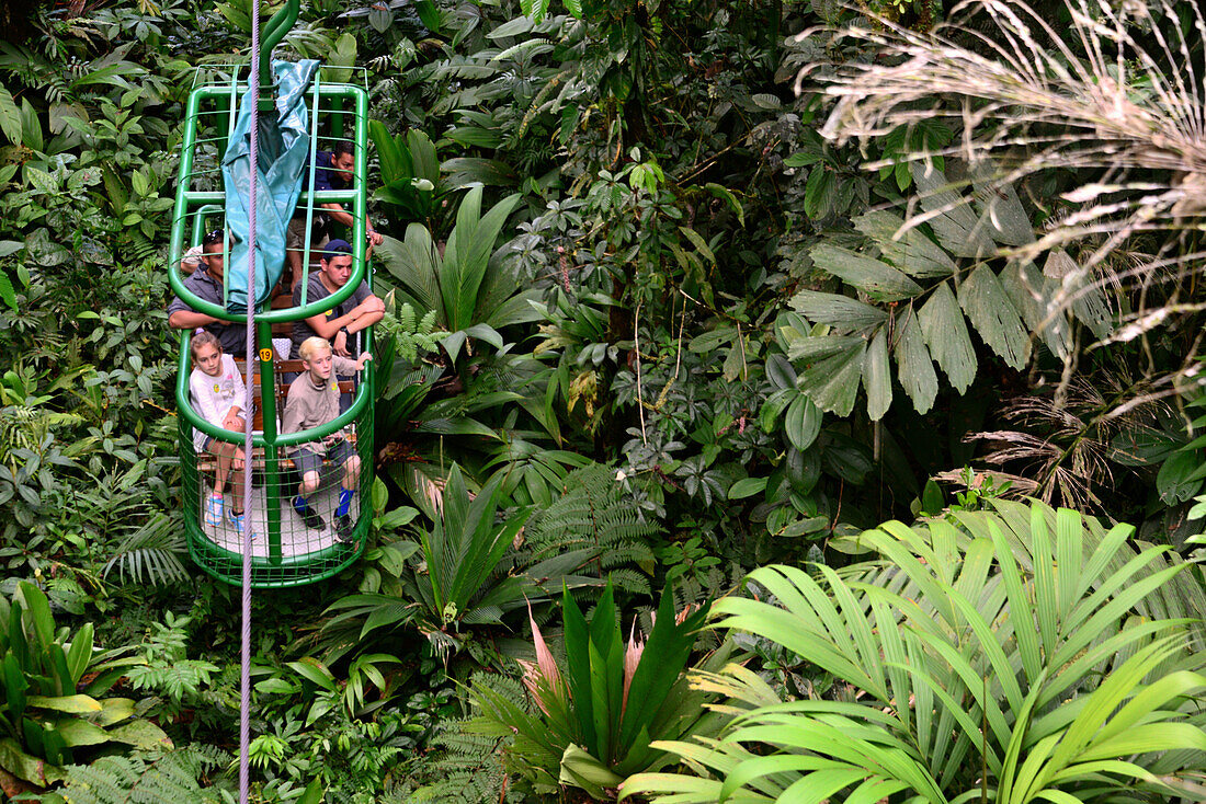 at the Rainforest Aerial Tram at Nationalpark Braulio Carrillo, in the center, Costa Rica