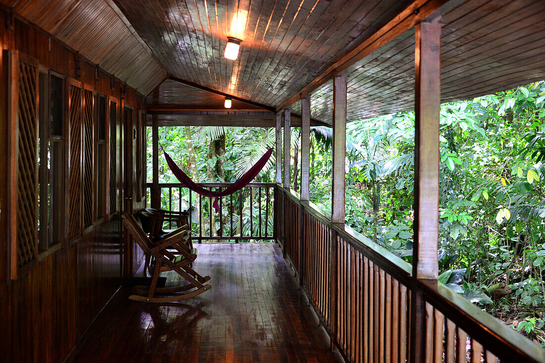 In the Selva Verde Lodge at Rio Sarapiqui in the center, Costa Rica