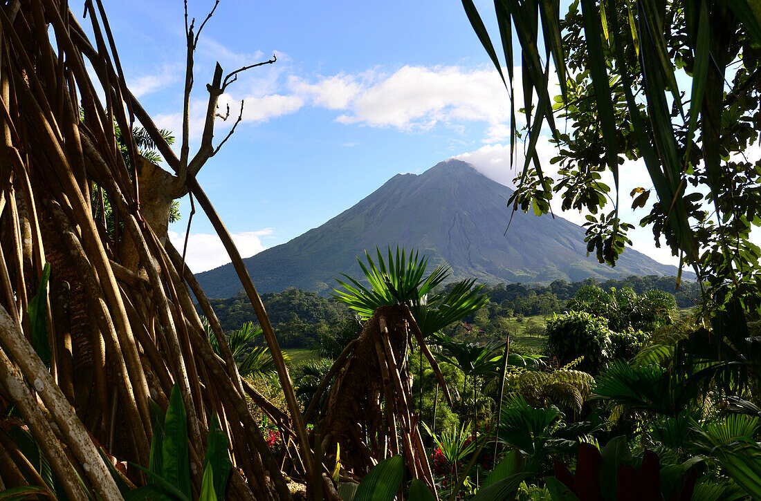 Vulcano Arenal near thermal area Tabacon, Costa Rica