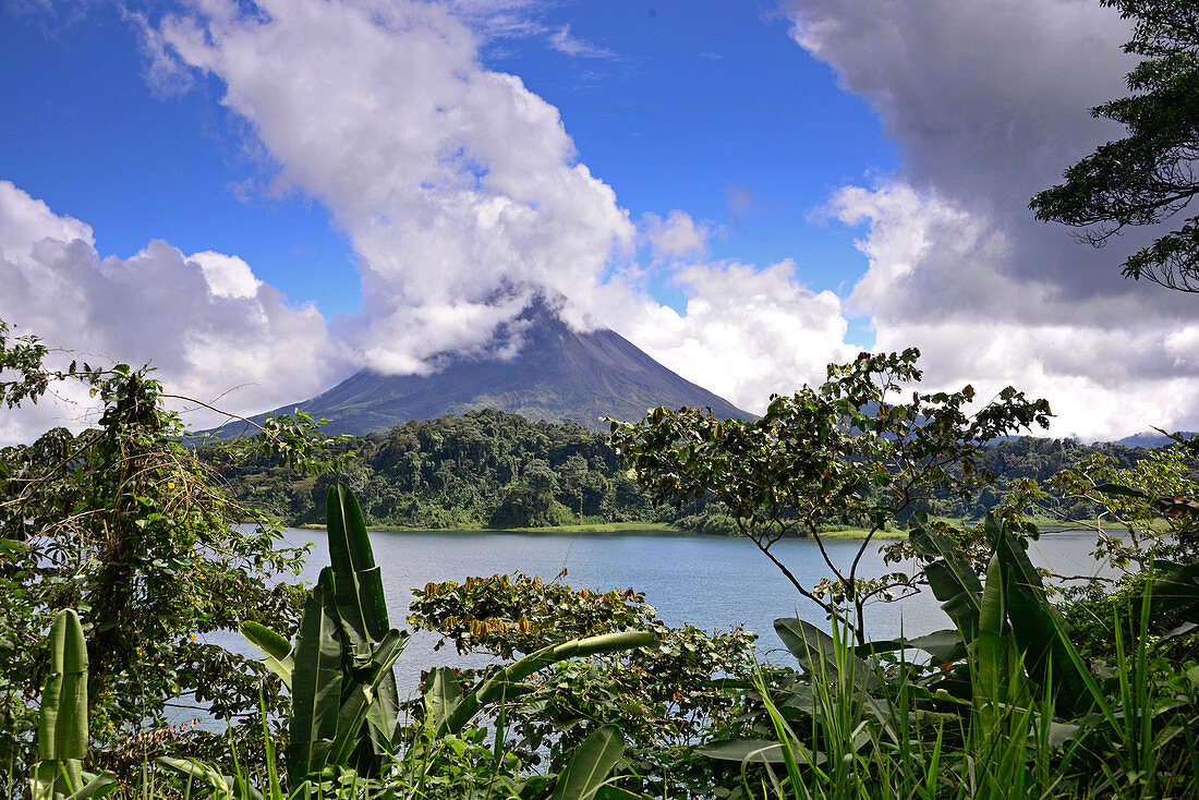 Vulcano Arenal near thermal area Tabacon, Costa Rica