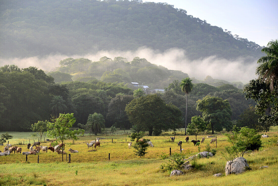 At Golf of Nicoya, Guanacaste, Costa Rica