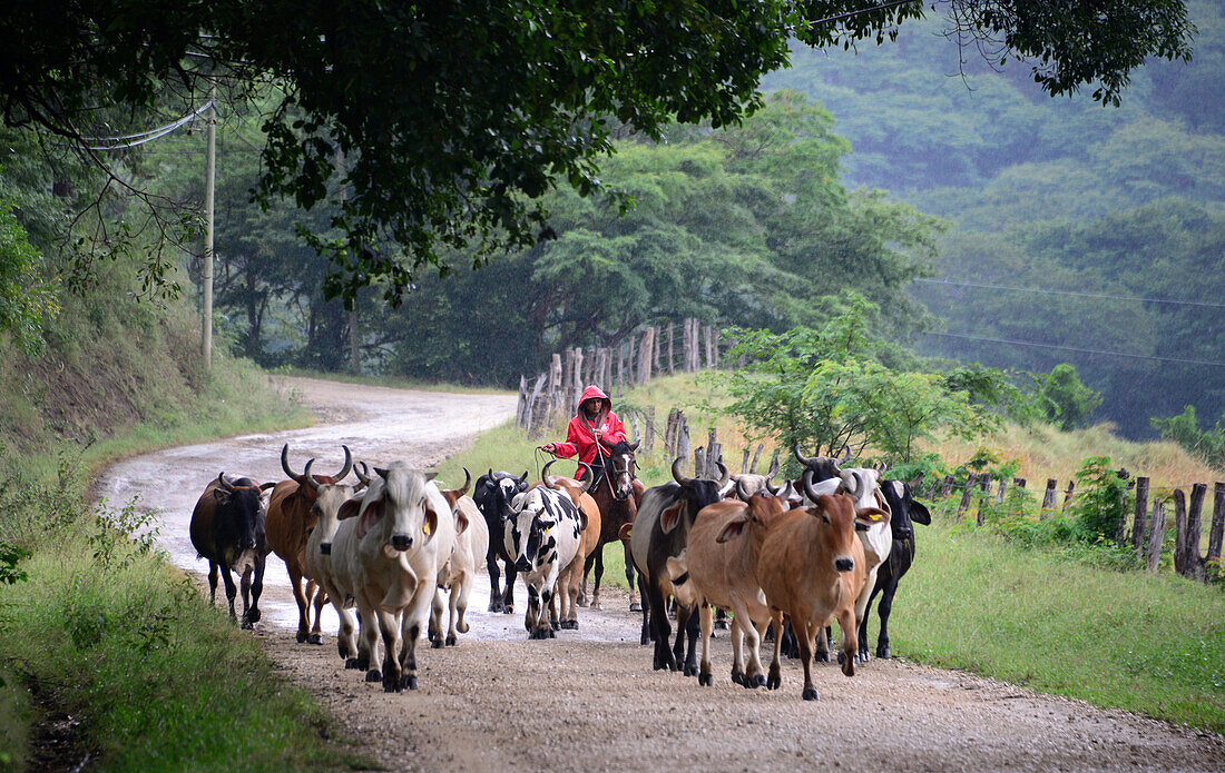 At Golf of Nicoya, Guanacaste, Costa Rica