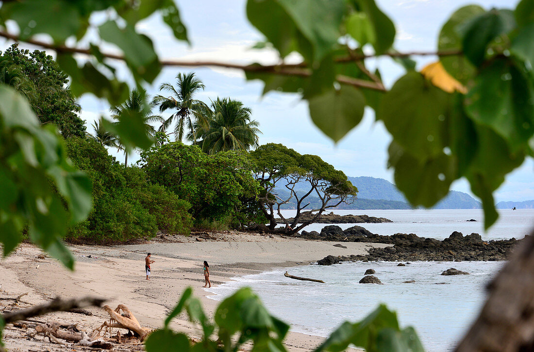 At a beach near Montezuma, peninsula Nicoya, Pazificcoast of Guanacaste, Costa Rica