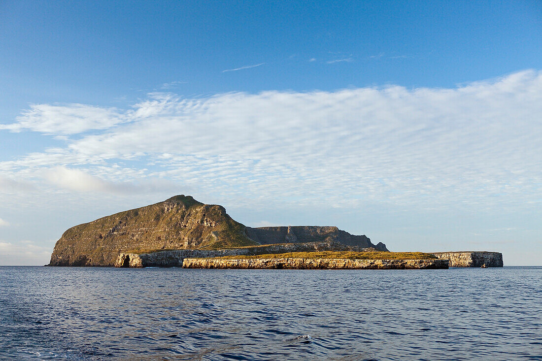 Wolf Island, Galapagos, Ecuador